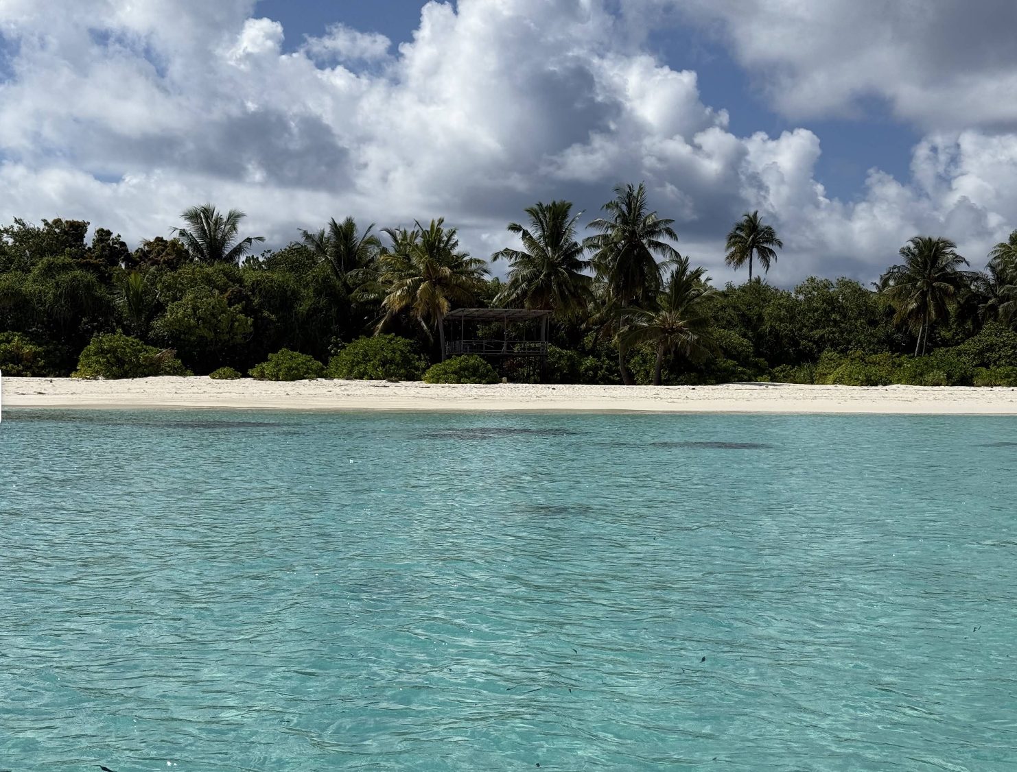 View from the lagoon towards Kondey's beach and tree line