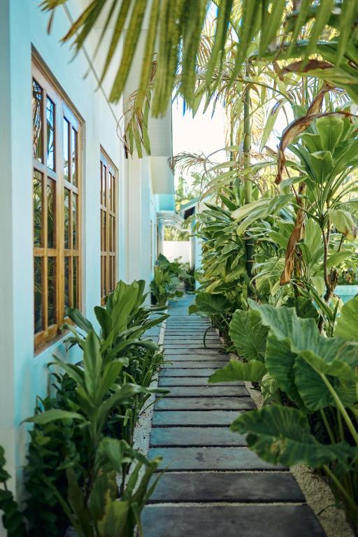 Garden path between the villas on Kondey