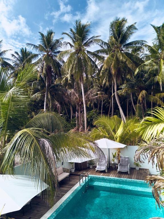 Pool deck with loungers under the palm trees on Kondey